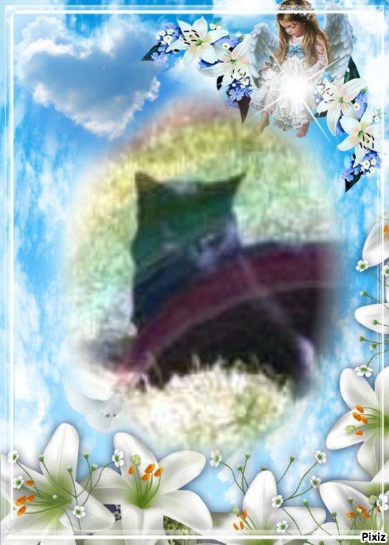 Cassius of the Oldwoman family