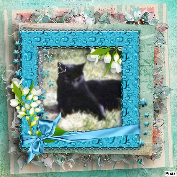 Cassius of the Oldwoman family