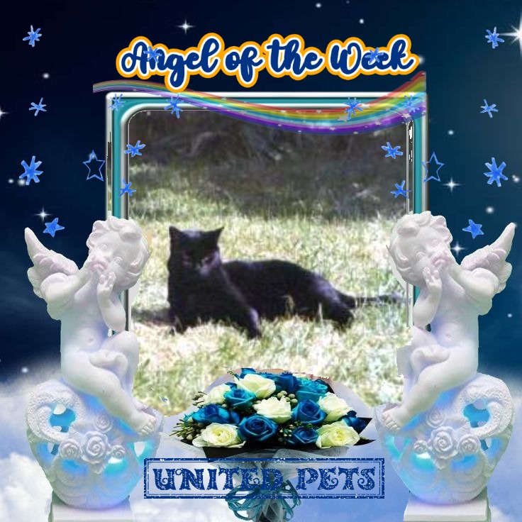 Cassius of the Oldwoman family