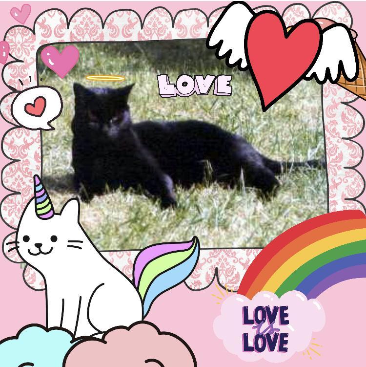 Cassius of the Oldwoman family