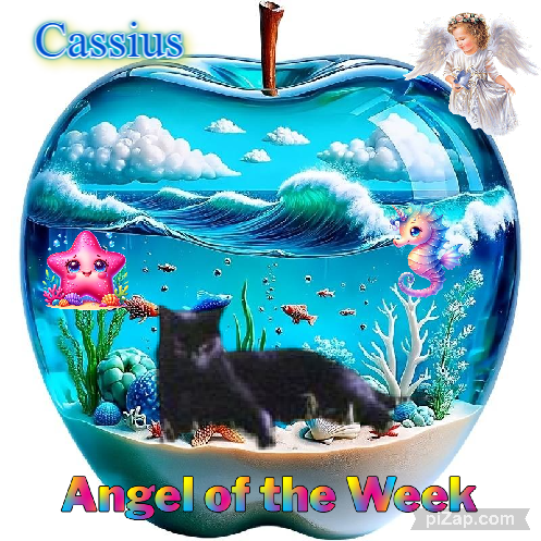 Cassius of the Oldwoman family