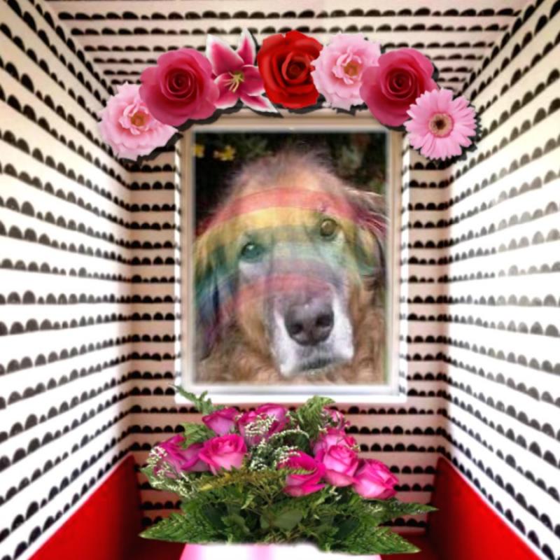 Tasha of the Oldwoman family