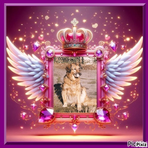 Tasha of the Oldwoman family