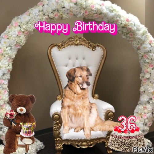 Oldwoman uploaded   2 year/s ago