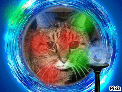 Pookie of the Oldwoman family