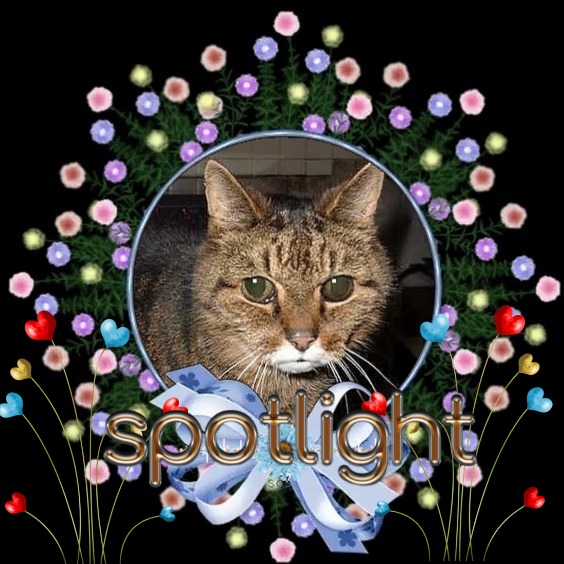 Pookie of the Oldwoman family