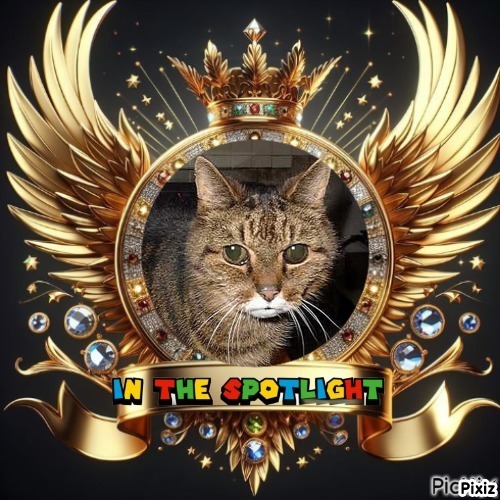 Pookie of the Oldwoman family