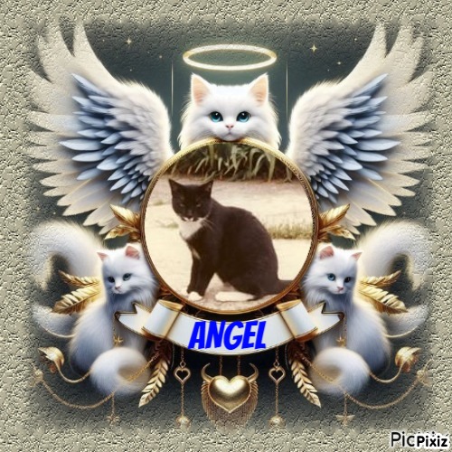 Trunky of the Oldwoman family