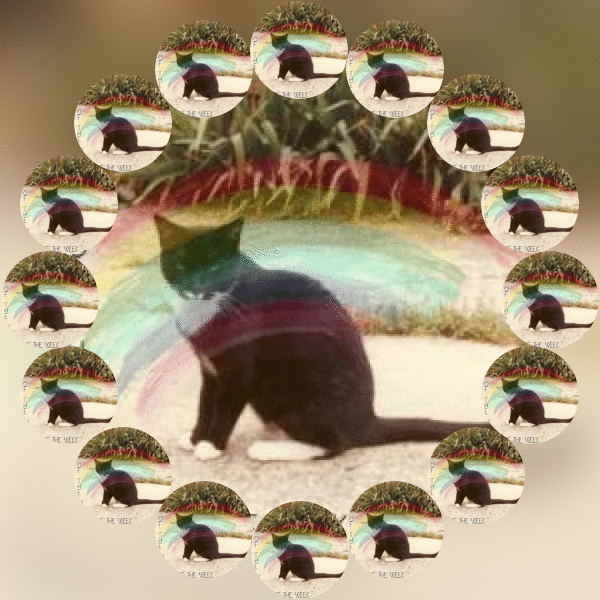 Oldwoman uploaded   54  day/s  ago