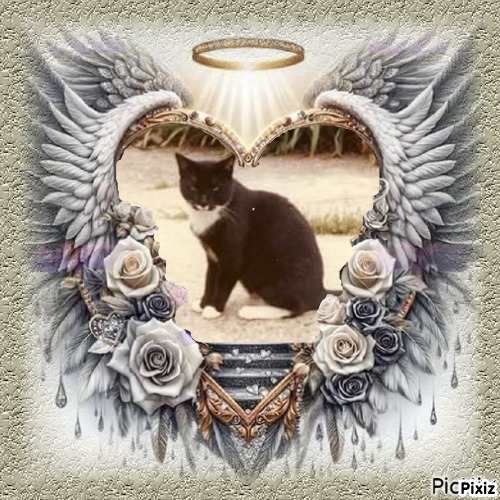 Trunky of the Oldwoman family