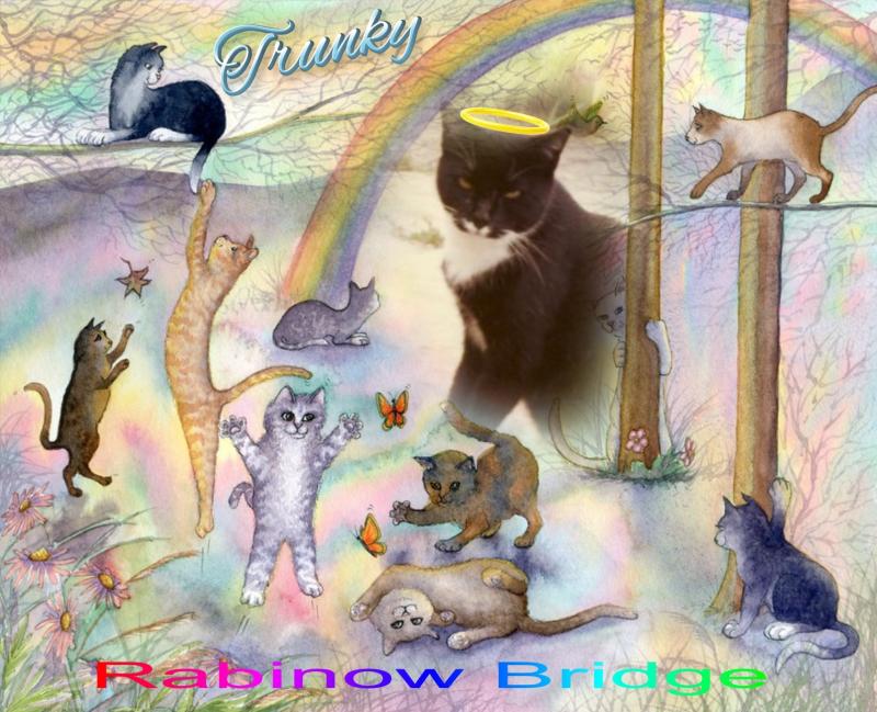 Trunky of the Oldwoman family