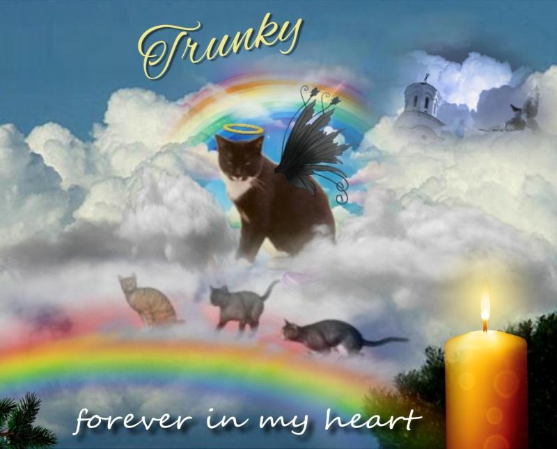 Trunky of the Oldwoman family