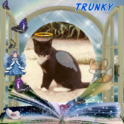 Trunky of the Oldwoman family