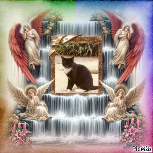 Trunky of the Oldwoman family