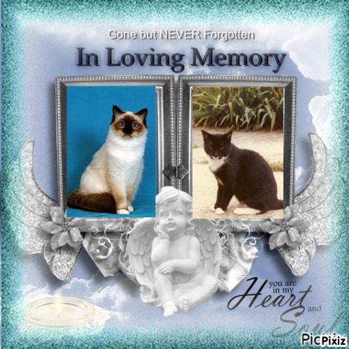 Trunky of the Oldwoman family