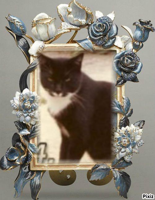 Trunky of the Oldwoman family