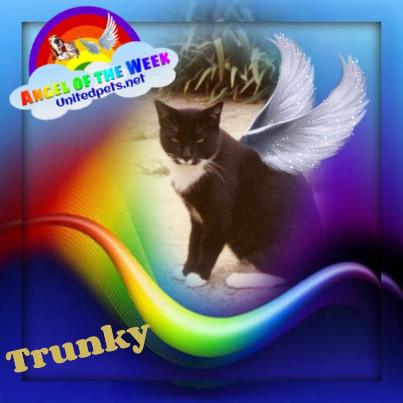 Trunky of the Oldwoman family