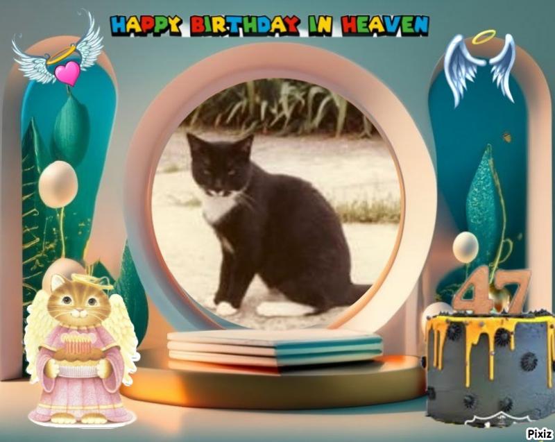 Trunky of the Oldwoman family