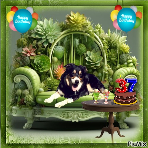 Colin of the Oldwoman family