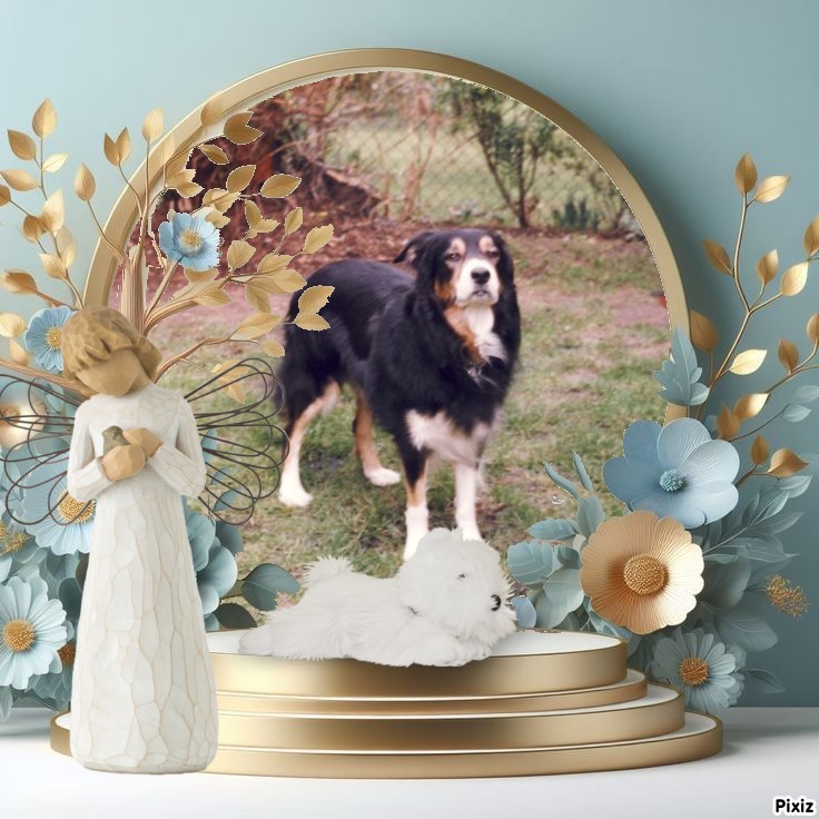 Colin of the Oldwoman family