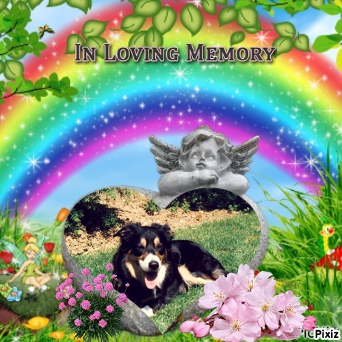 Colin of the Oldwoman family