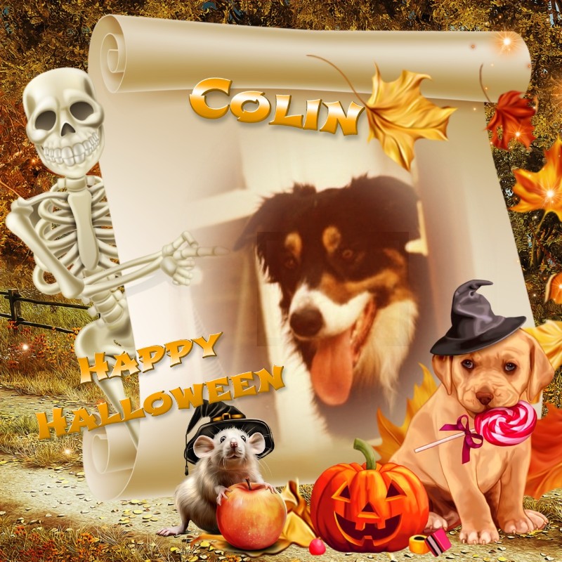 Colin of the Oldwoman family