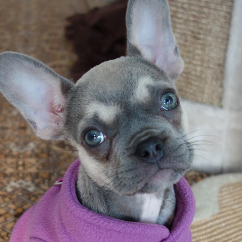 Oldwoman uploaded   5 year/s ago