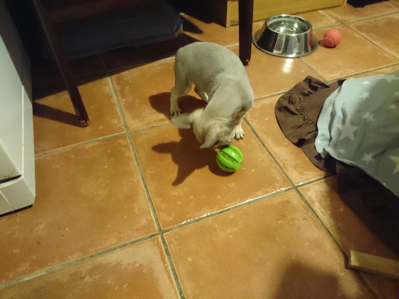 Oldwoman uploaded   5 year/s ago