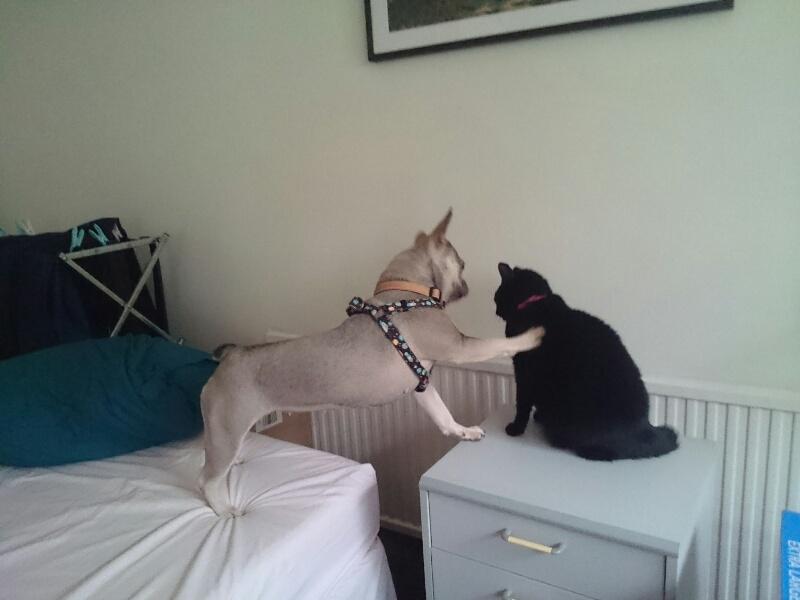 Oldwoman uploaded   4 year/s ago