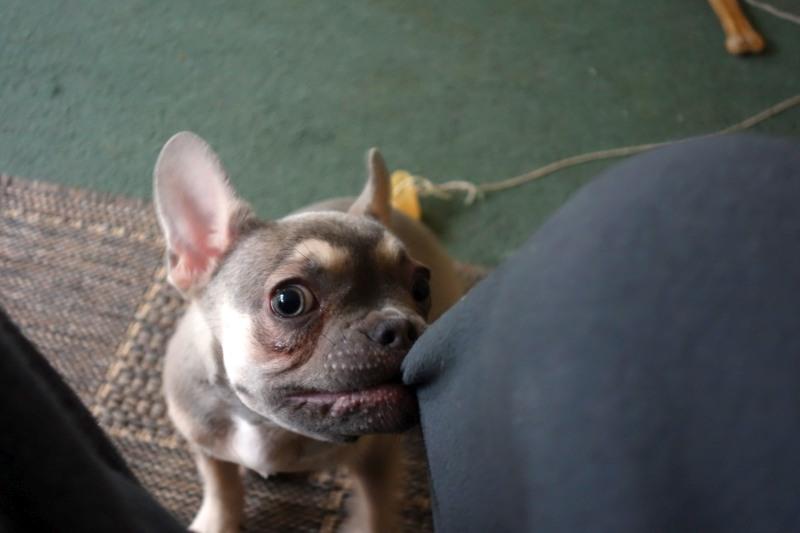 Oldwoman uploaded   5 year/s ago