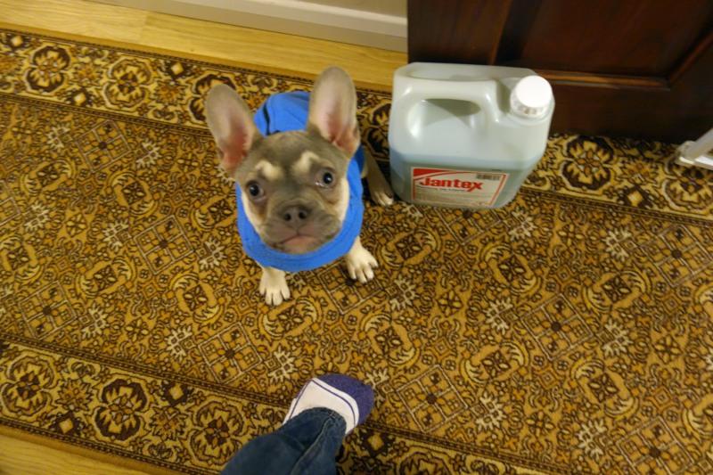 Oldwoman uploaded   5 year/s ago