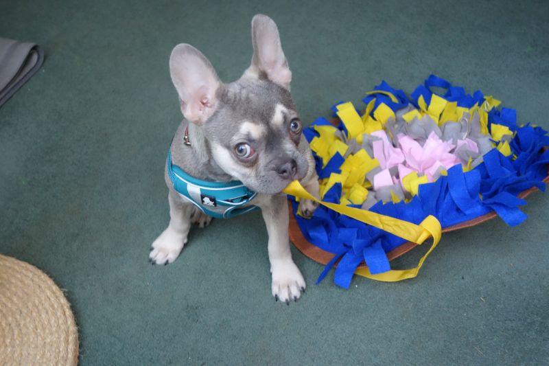 Oldwoman uploaded   5 year/s ago