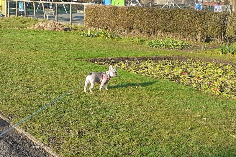 Oldwoman uploaded   5 year/s ago