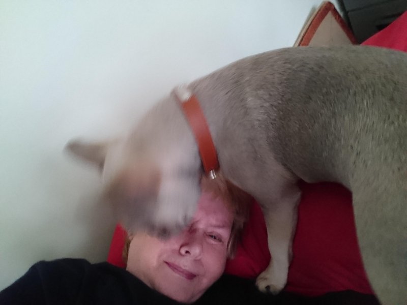 Oldwoman uploaded   5 year/s ago