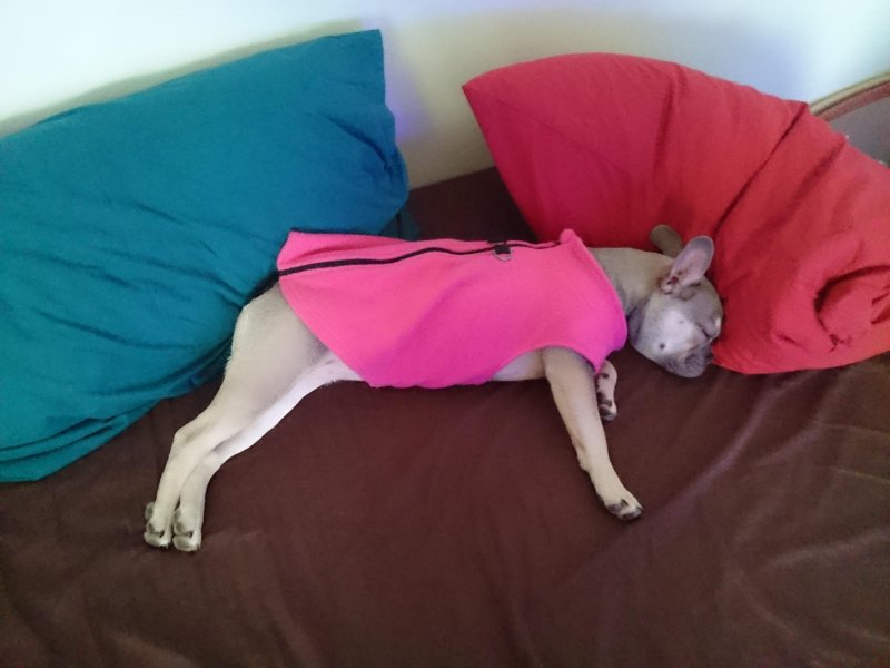 Oldwoman uploaded   5 year/s ago