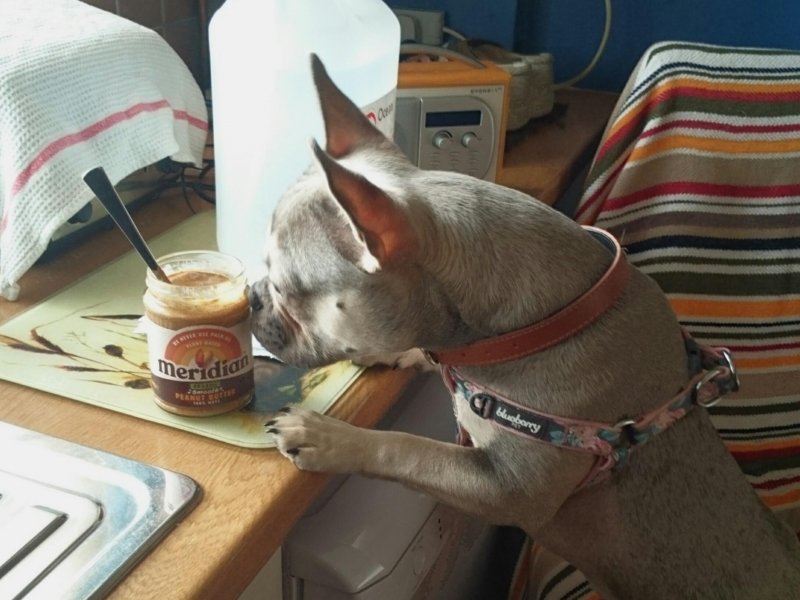 Oldwoman uploaded   4 year/s ago