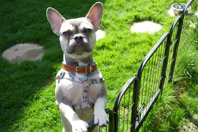 Oldwoman uploaded   4 year/s ago