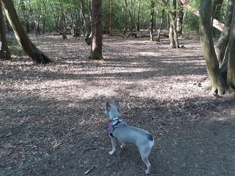 Oldwoman uploaded   5 year/s ago