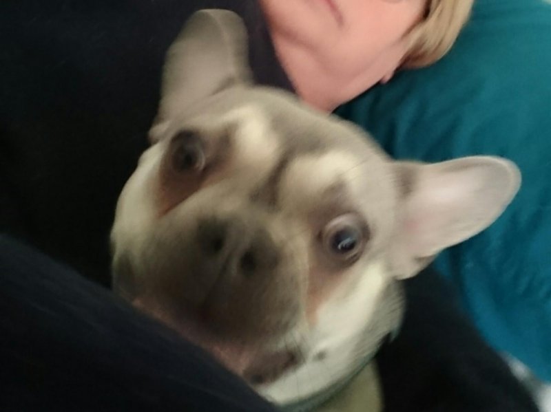 Oldwoman uploaded   5 year/s ago