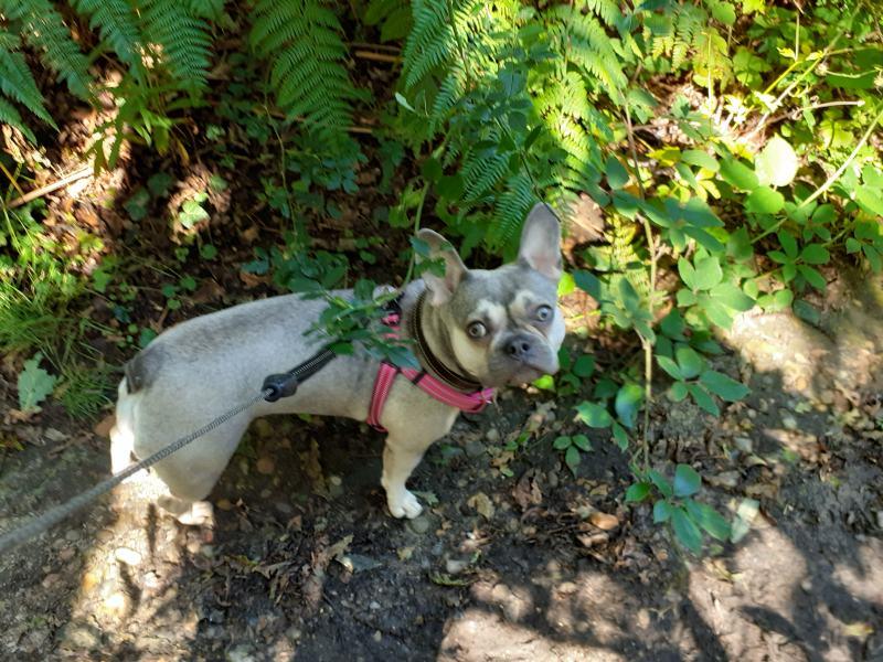 Oldwoman uploaded   4 year/s ago