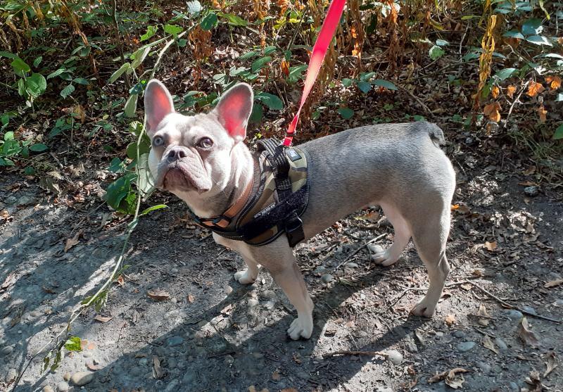 Oldwoman uploaded   4 year/s ago