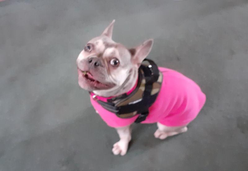Oldwoman uploaded   4 year/s ago