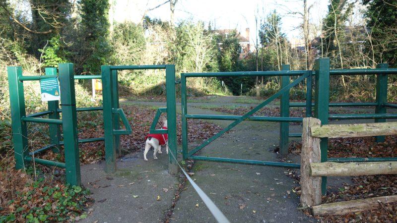 Oldwoman uploaded   4 year/s ago