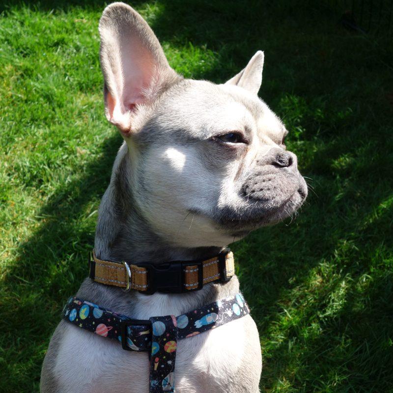 Oldwoman uploaded   3 year/s ago