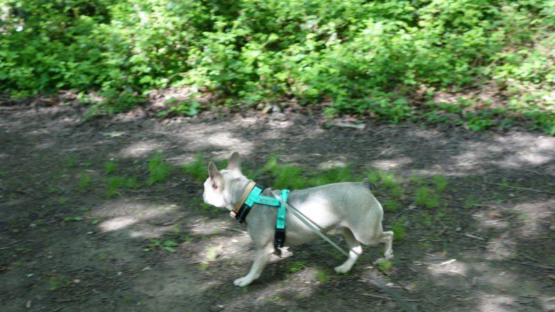 Oldwoman uploaded   4 year/s ago
