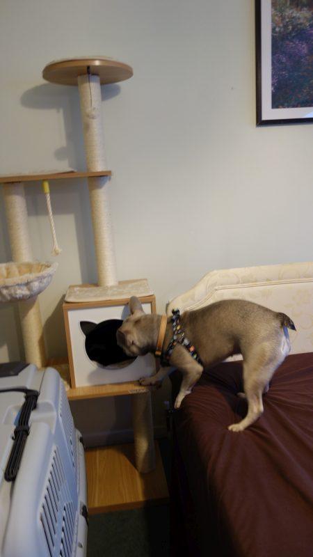 Oldwoman uploaded   3 year/s ago