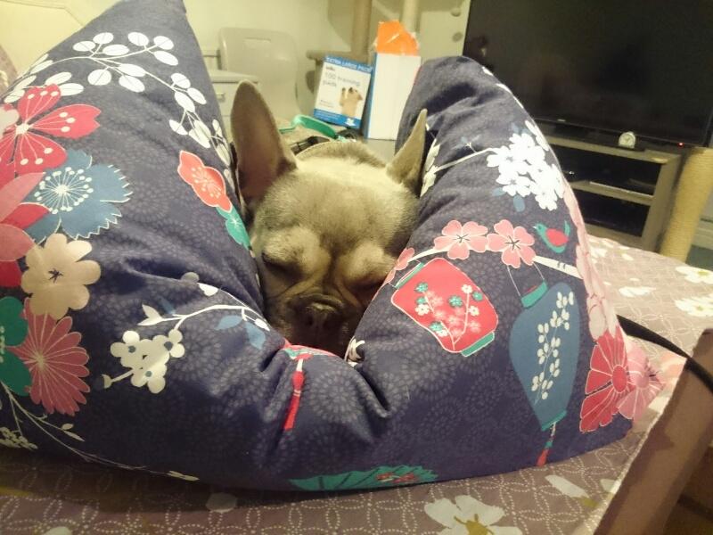 Oldwoman uploaded   3 year/s ago