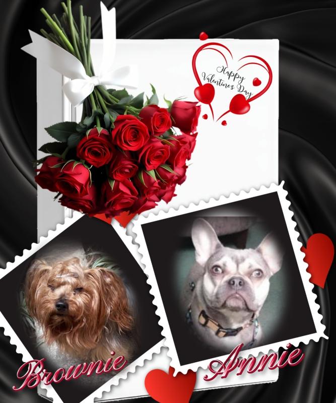 Annie of the Oldwoman family