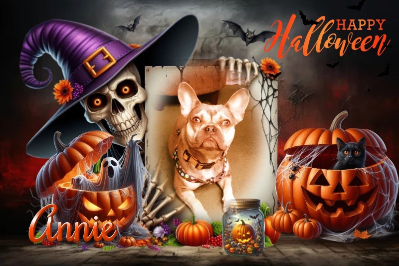 Annie of the Oldwoman family