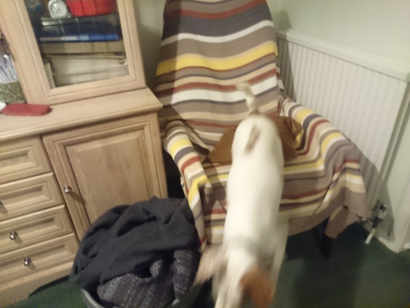 Oldwoman uploaded   3 year/s ago
